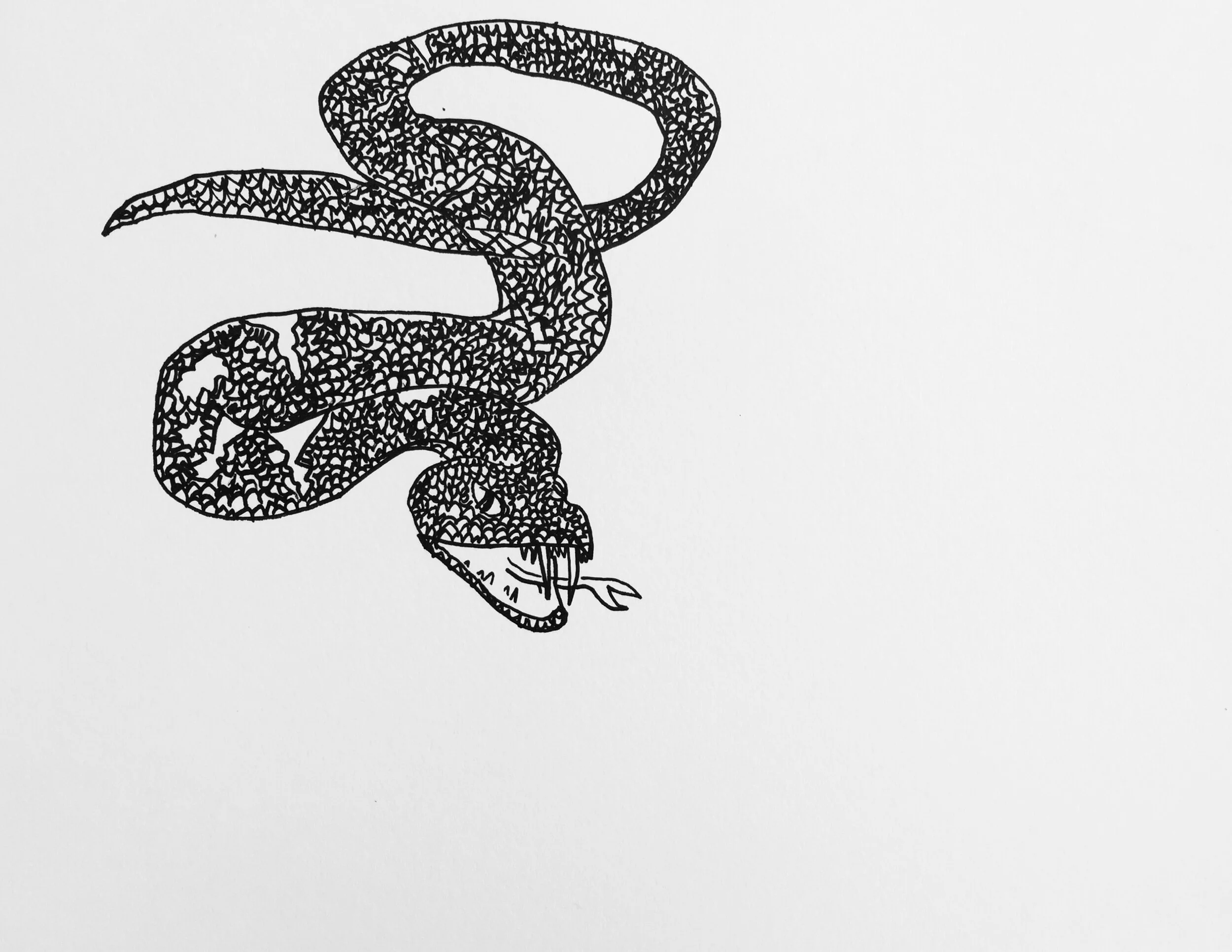 James Roll - Slithering Snake
