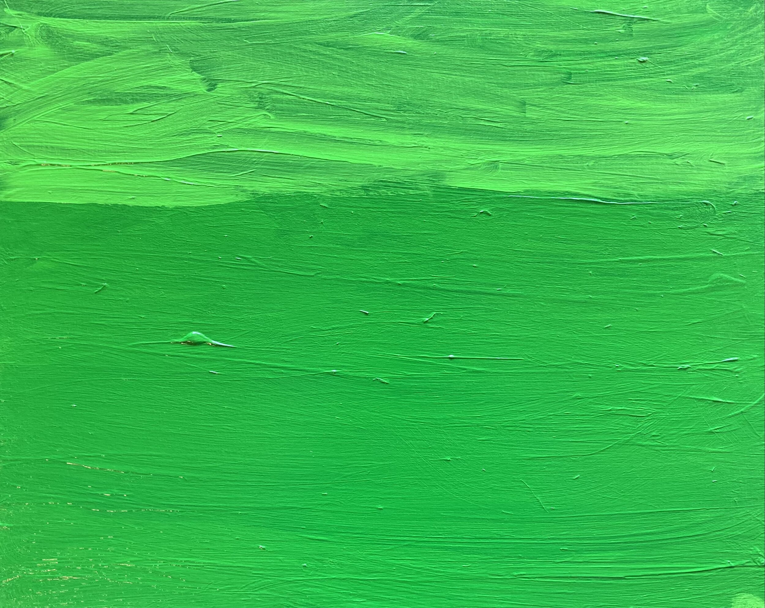 Nikki Ordaz - Green Grass