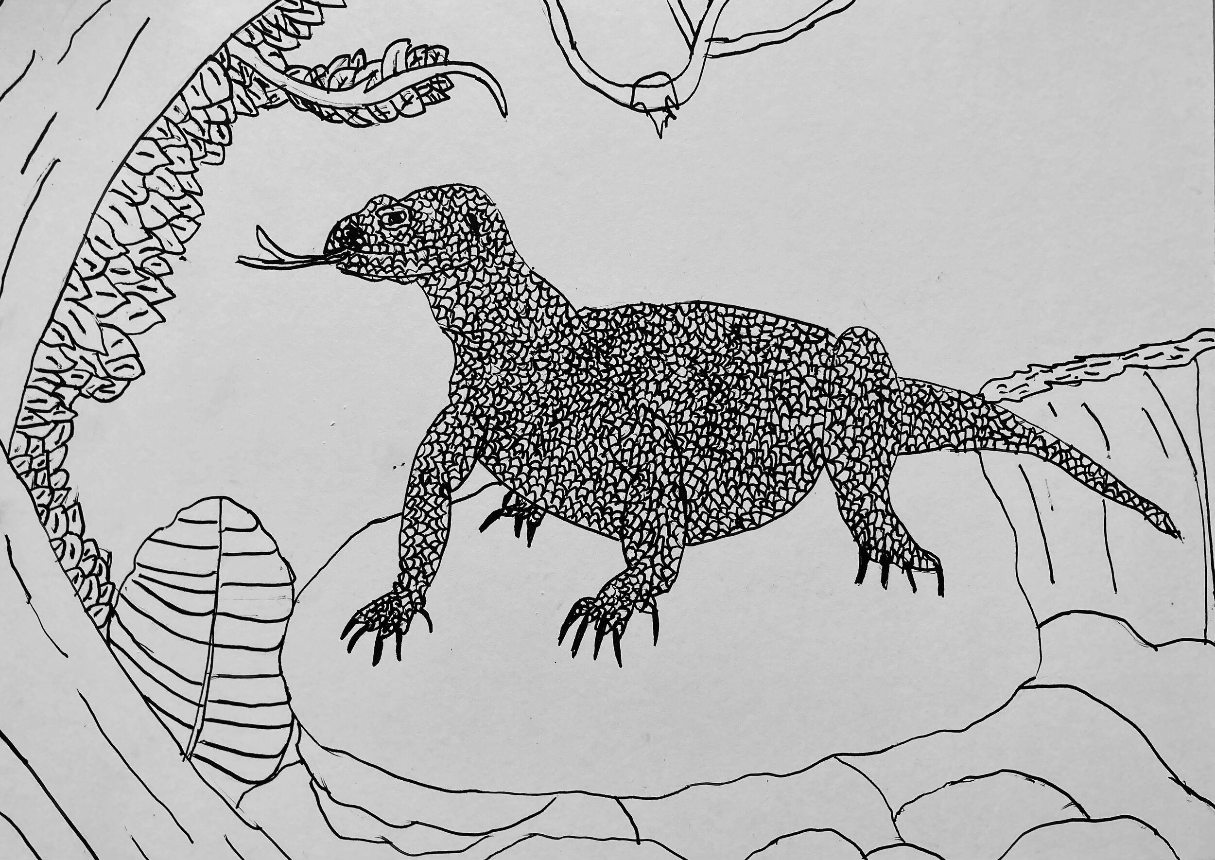 James Roll - Komodo Dragon