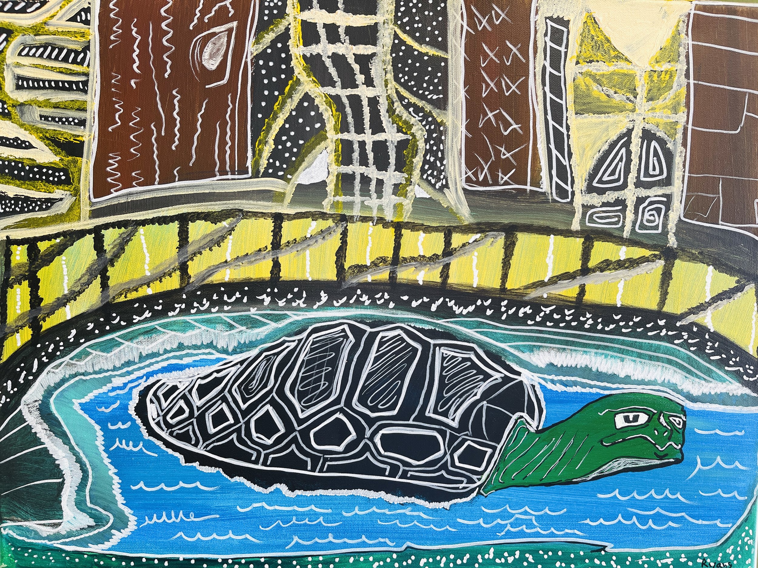 Ryan Gobeli - Turtle Time