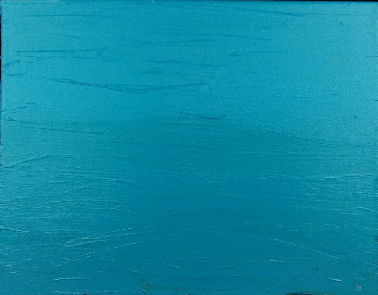 Nikki Ordaz - The Ocean