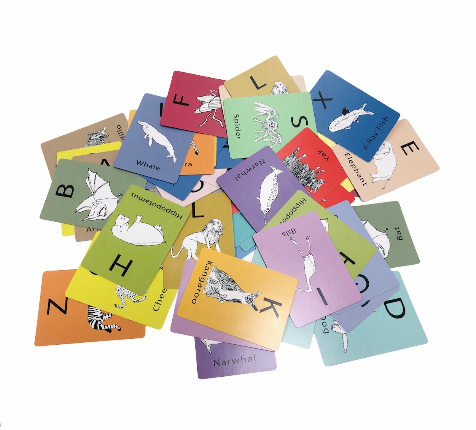 James Roll - Animal Alphabet Matching Card Game