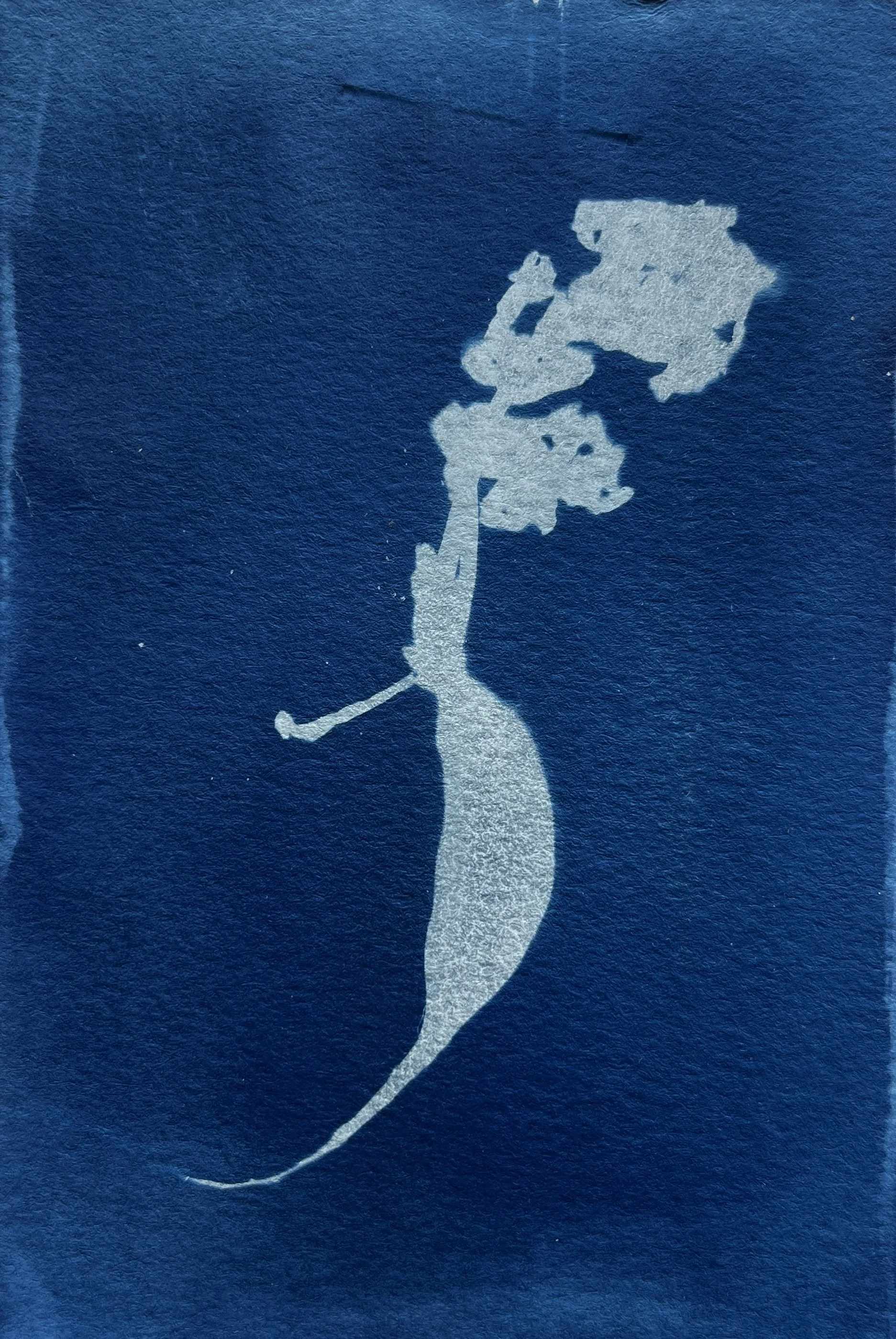 Rose Heflin - A Tasty Morsel