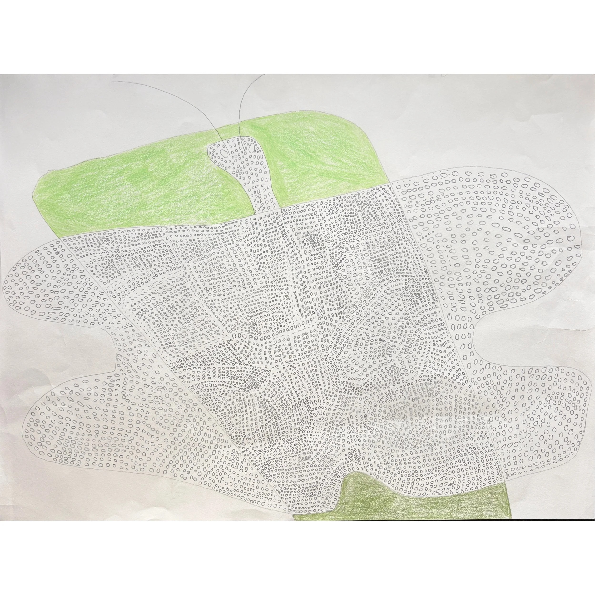 Whitagram-Image 111.JPG