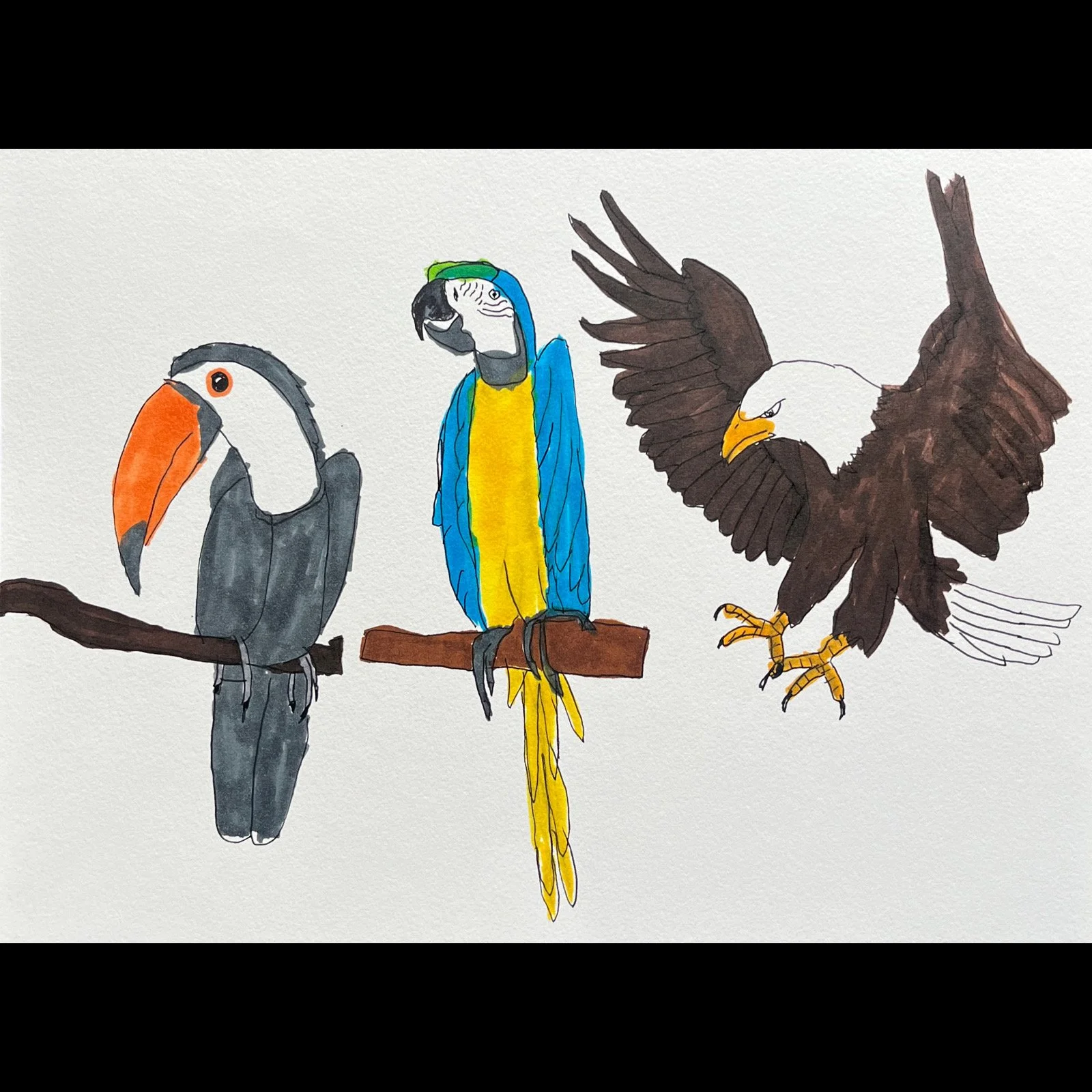 James Roll - Three Birds