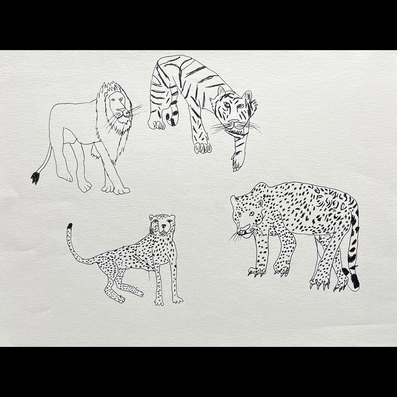 James Roll - The Hunt