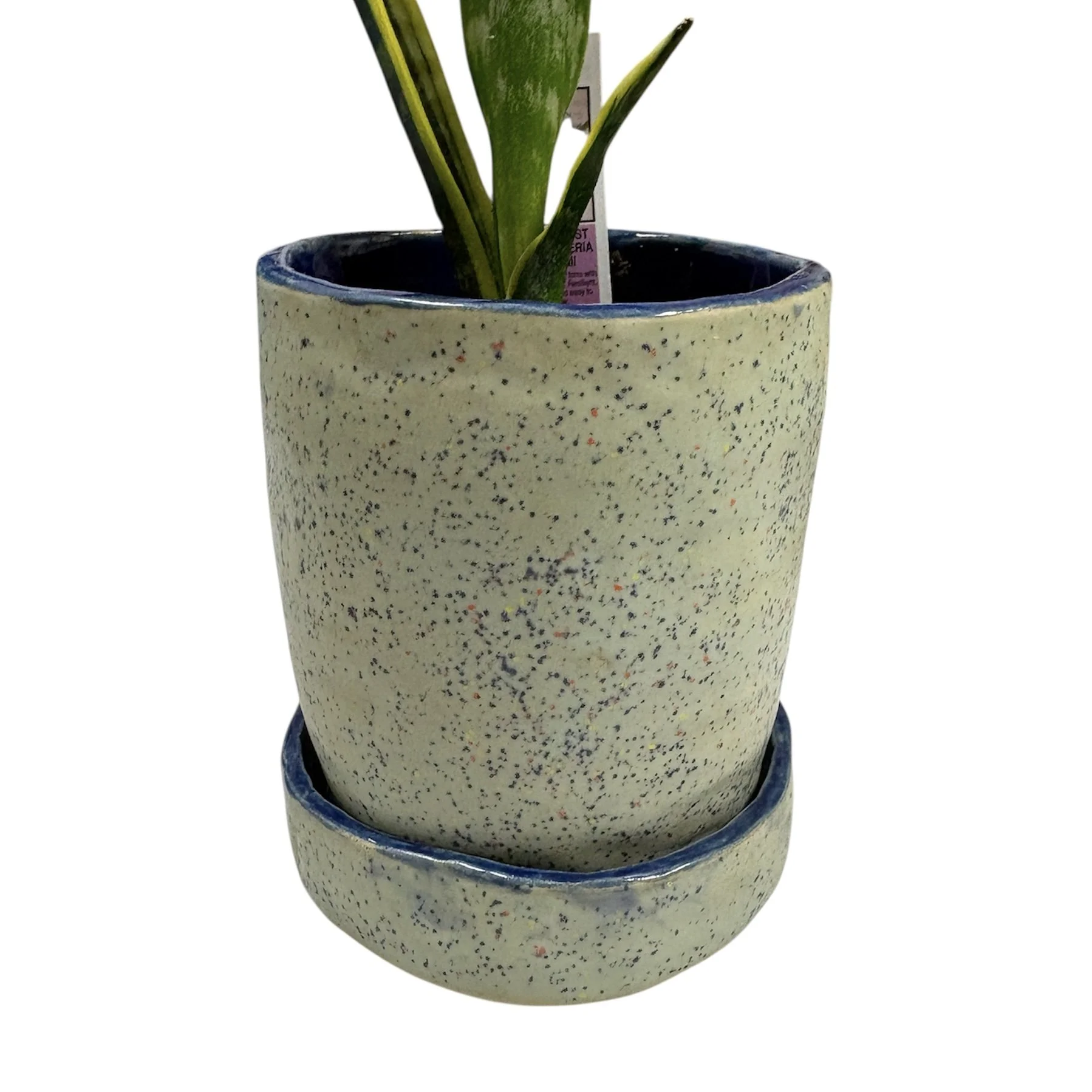 PhotoRoom_20260121_124212 2.jpg