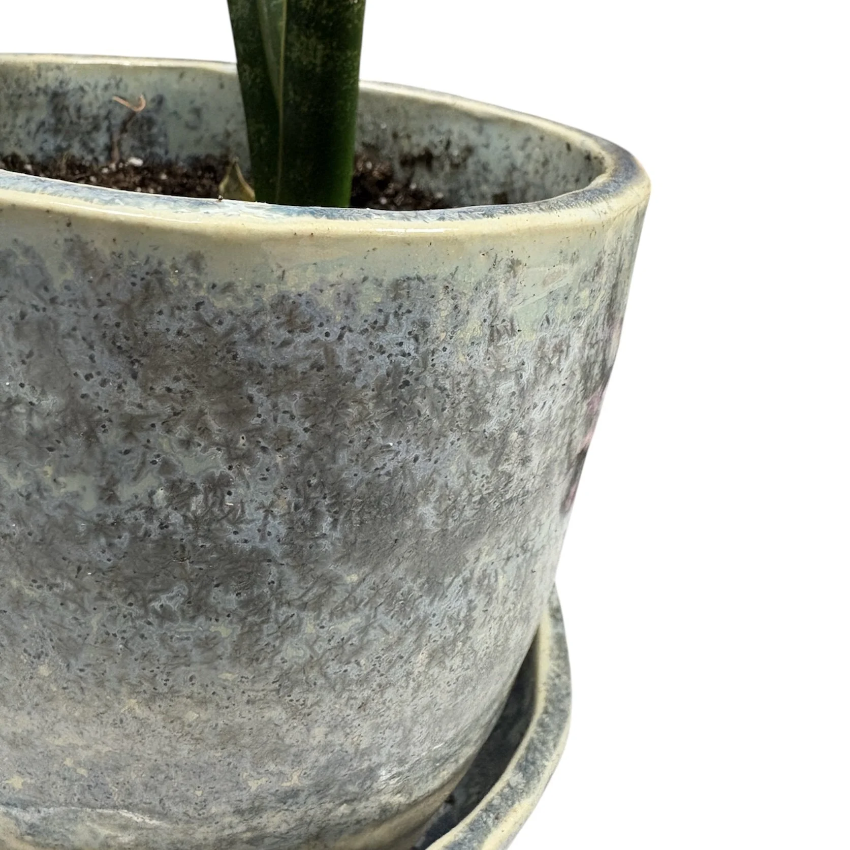 PhotoRoom_20260121_124151 2.jpg