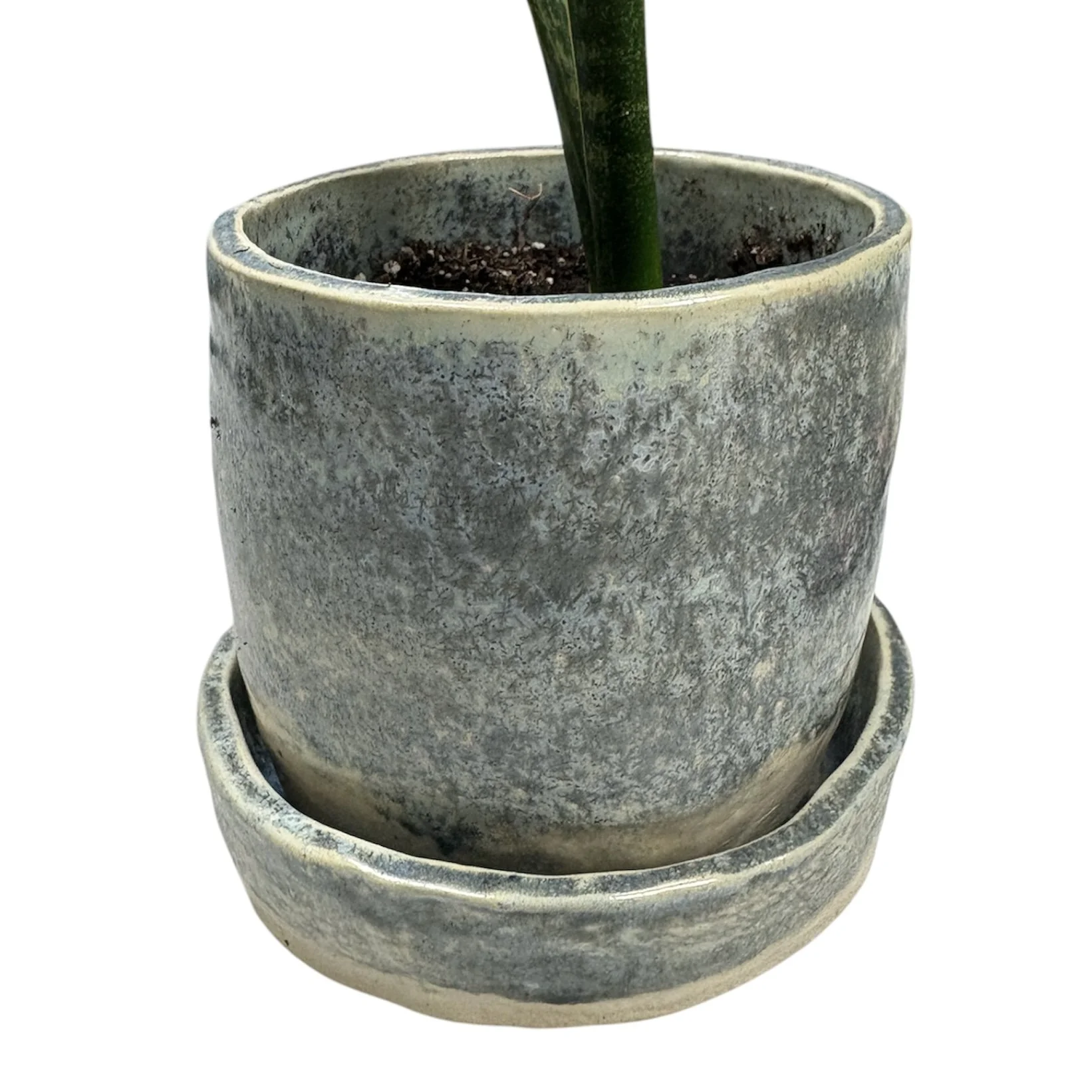 PhotoRoom_20260121_124116 2.jpg