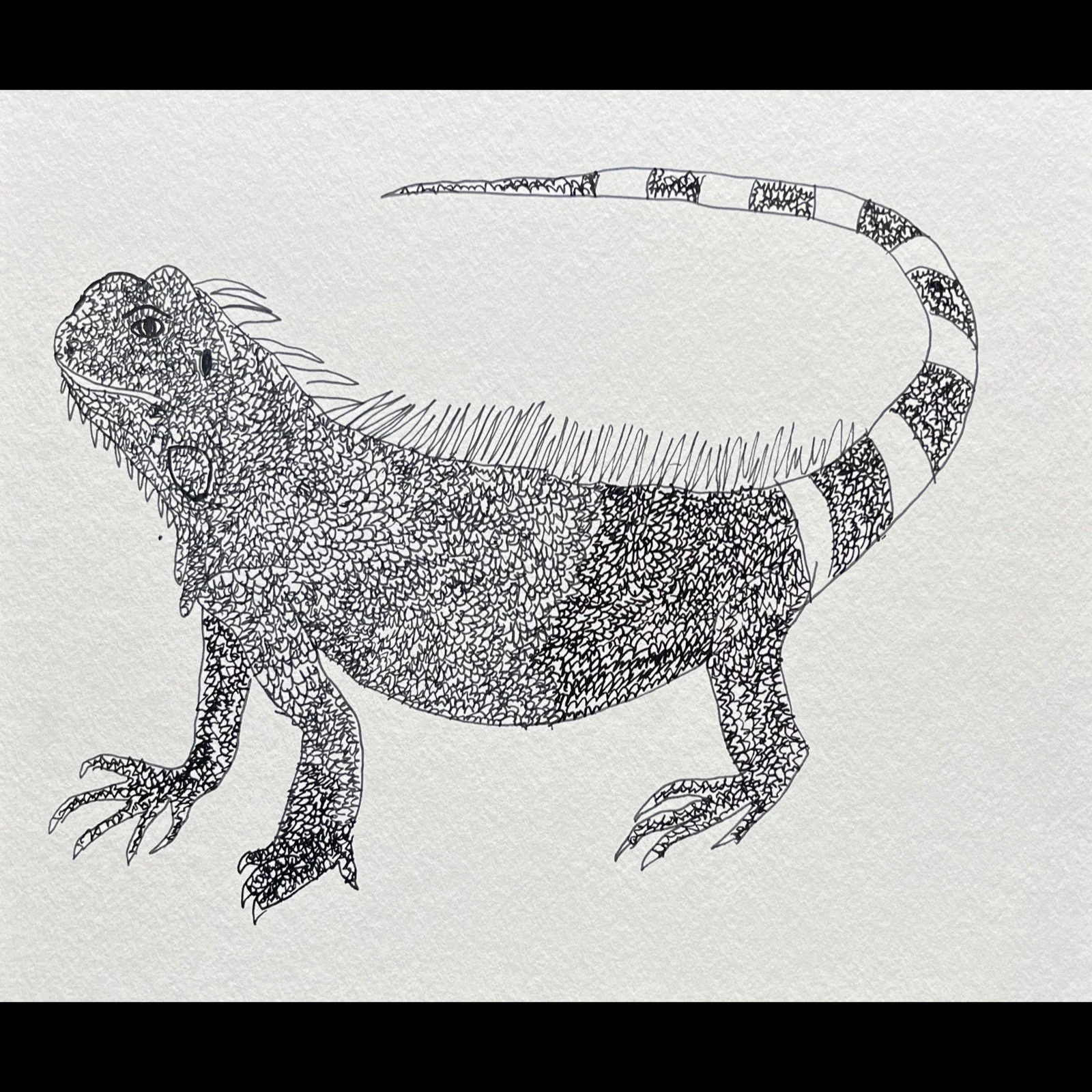 Whitagram-Image 32.JPG