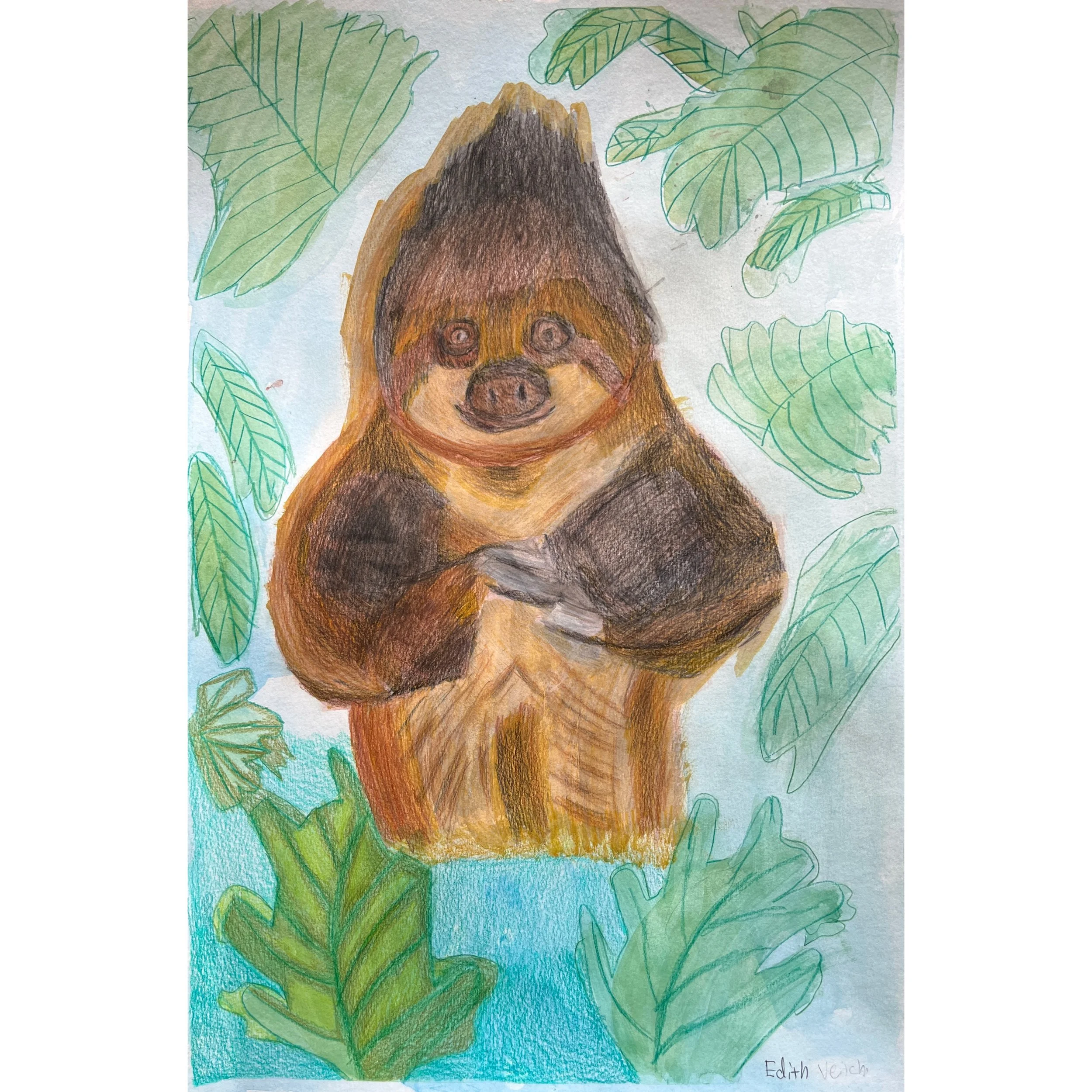 Edith Veitch - Sloths