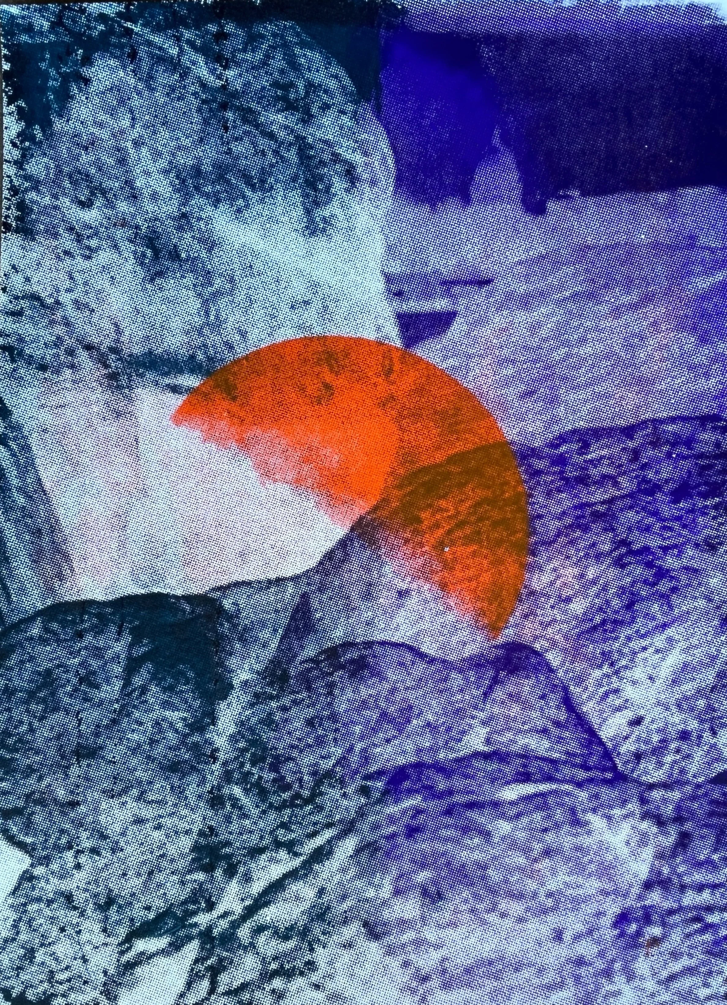 Shep Bowman- Orange Moon in Madison