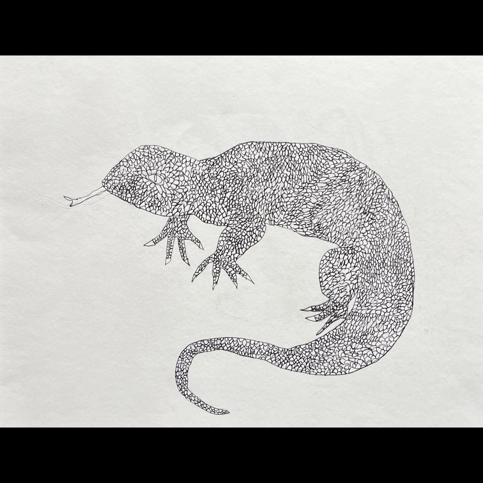 James Roll - Slithering