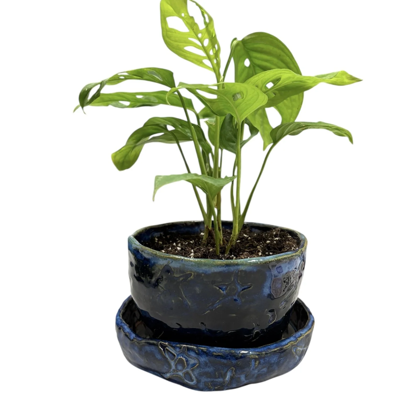 PhotoRoom_20260121_123948 2.jpg