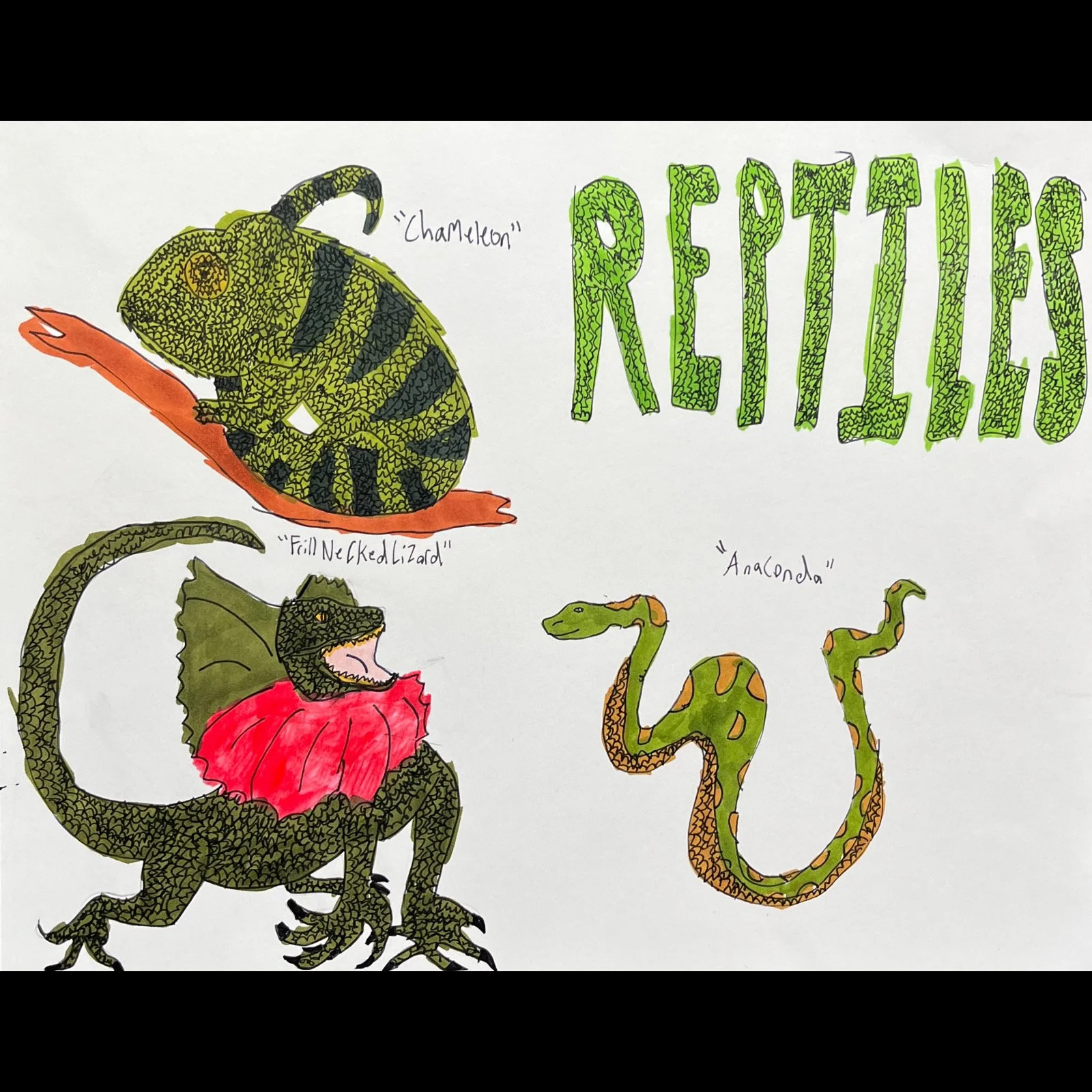 James Roll - Reptiles
