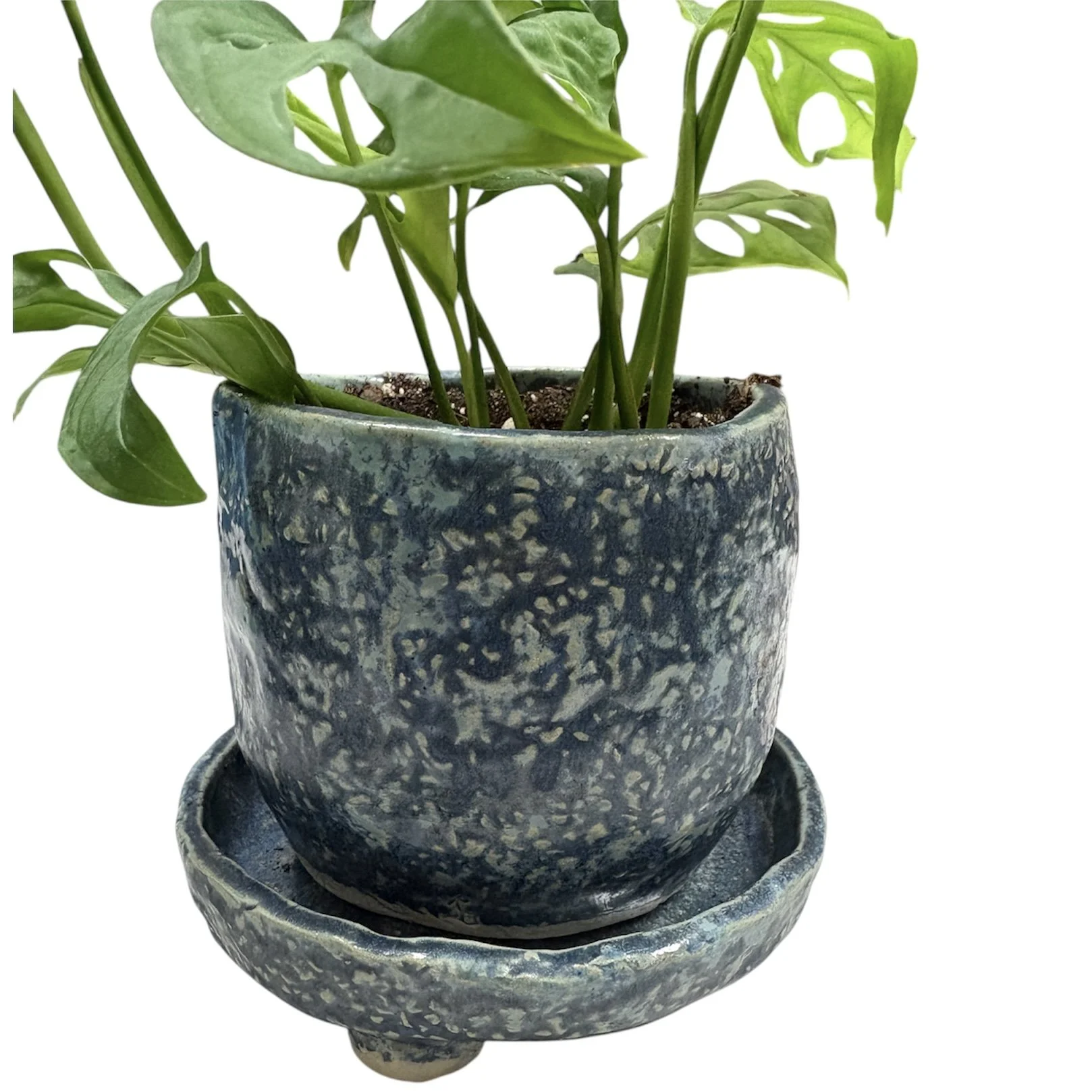 PhotoRoom_20260121_123927 2.jpg