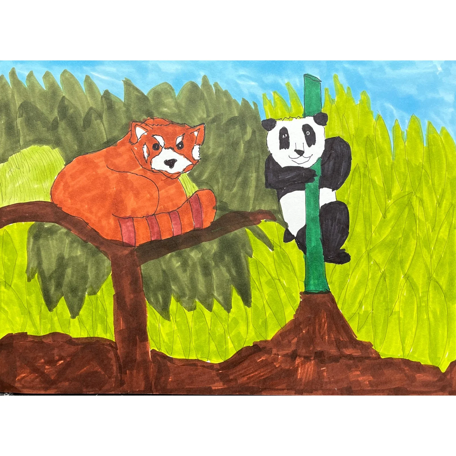 James Roll - Bamboo Eaters