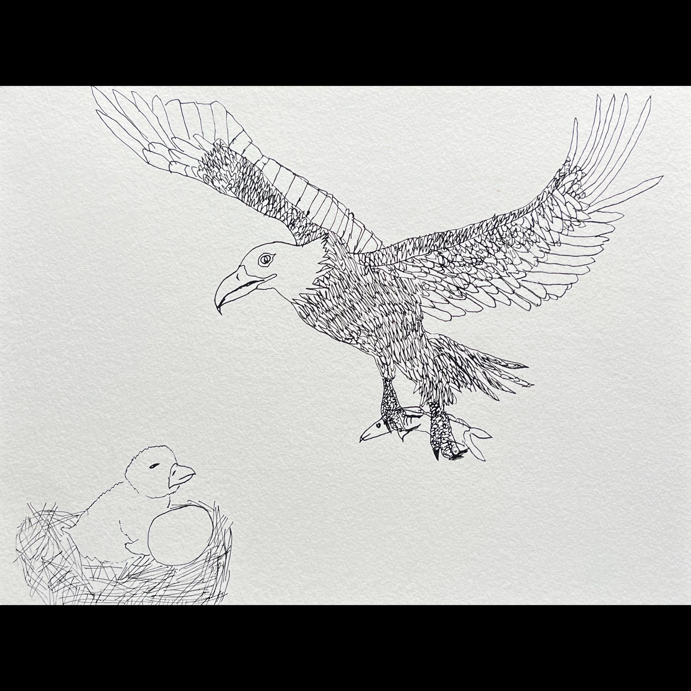 James Roll - Soaring Eagle