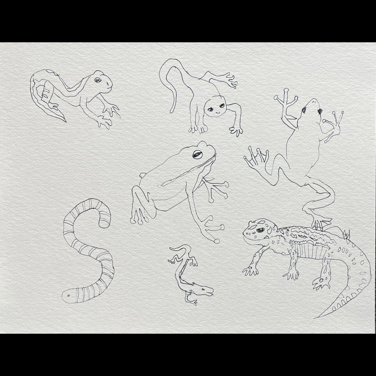 Whitagram-Image 25.JPG