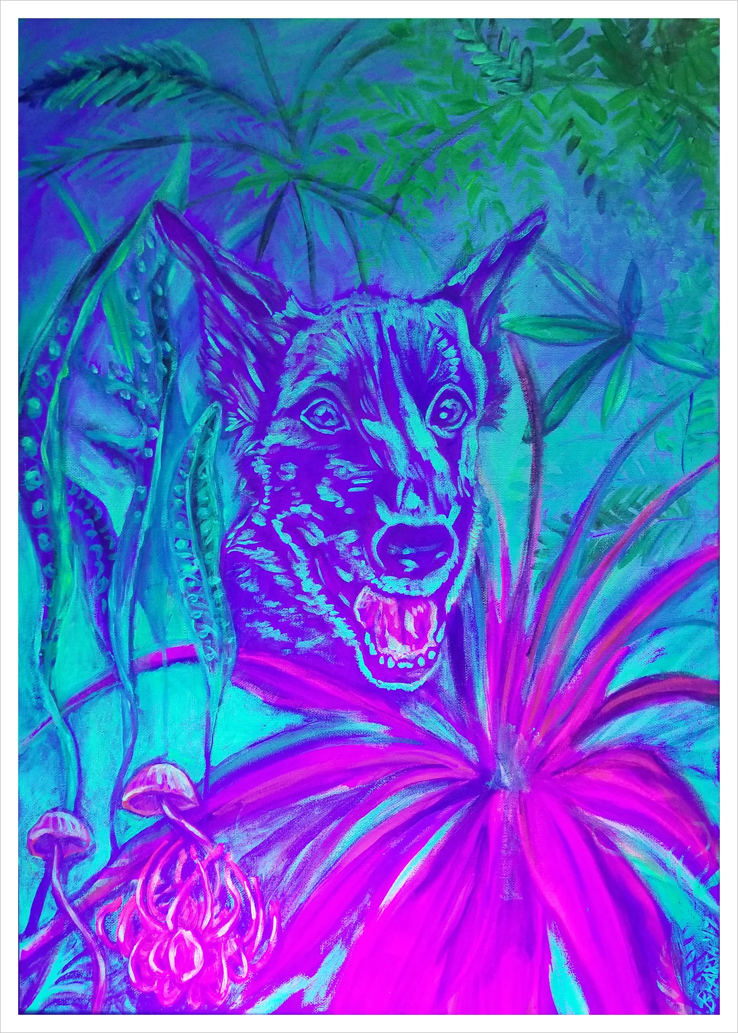 Taz (in Tazmania) ~ in blacklight