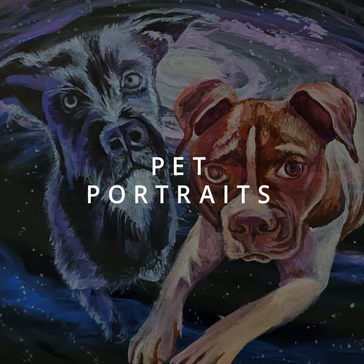 sqsp-thumb-PET PORTRAITS-Space Dogs.jpg