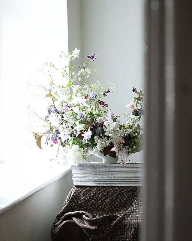 Grannys Bonnets and Old Maids Caps!
:
:
:
#dsfloral#underthefloralspell#moodforfloral#chasinglight#inspiredbynature#gardenstyle#cheshireflorist#botanicalinspiration#floralstyling#seasonalfloweralliance#floraldesigner#inspiredbypetals#myfloraldays#sea