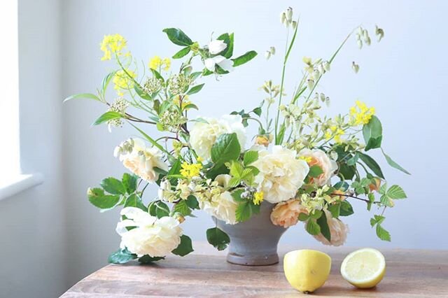 Lemonade weather!
:
:
:
#dsfloral#underthefloralspell#moodforfloral#chasinglight#inspiredbynature#gardenstyle#cheshireflorist#botanicalinspiration#floralstyling#seasonalfloweralliance#floraldesigner#inspiredbypetals#myfloraldays#seasonalflowers#garde