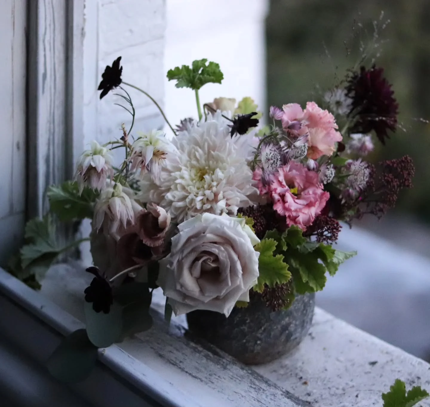 November. Low light and shivering on doorsteps waiting to be let in!!

#floralstories