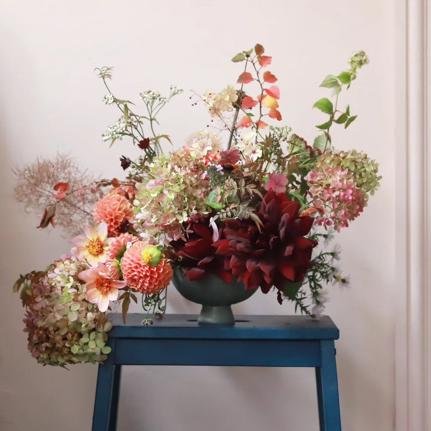 Black dahlia, bronzed jasmine, blue stool. I'm in a say what you see mood apparently!  Now off for free champagne and oysters...that's my kind of Tuesday!

#blackdahlia#gardenflowers