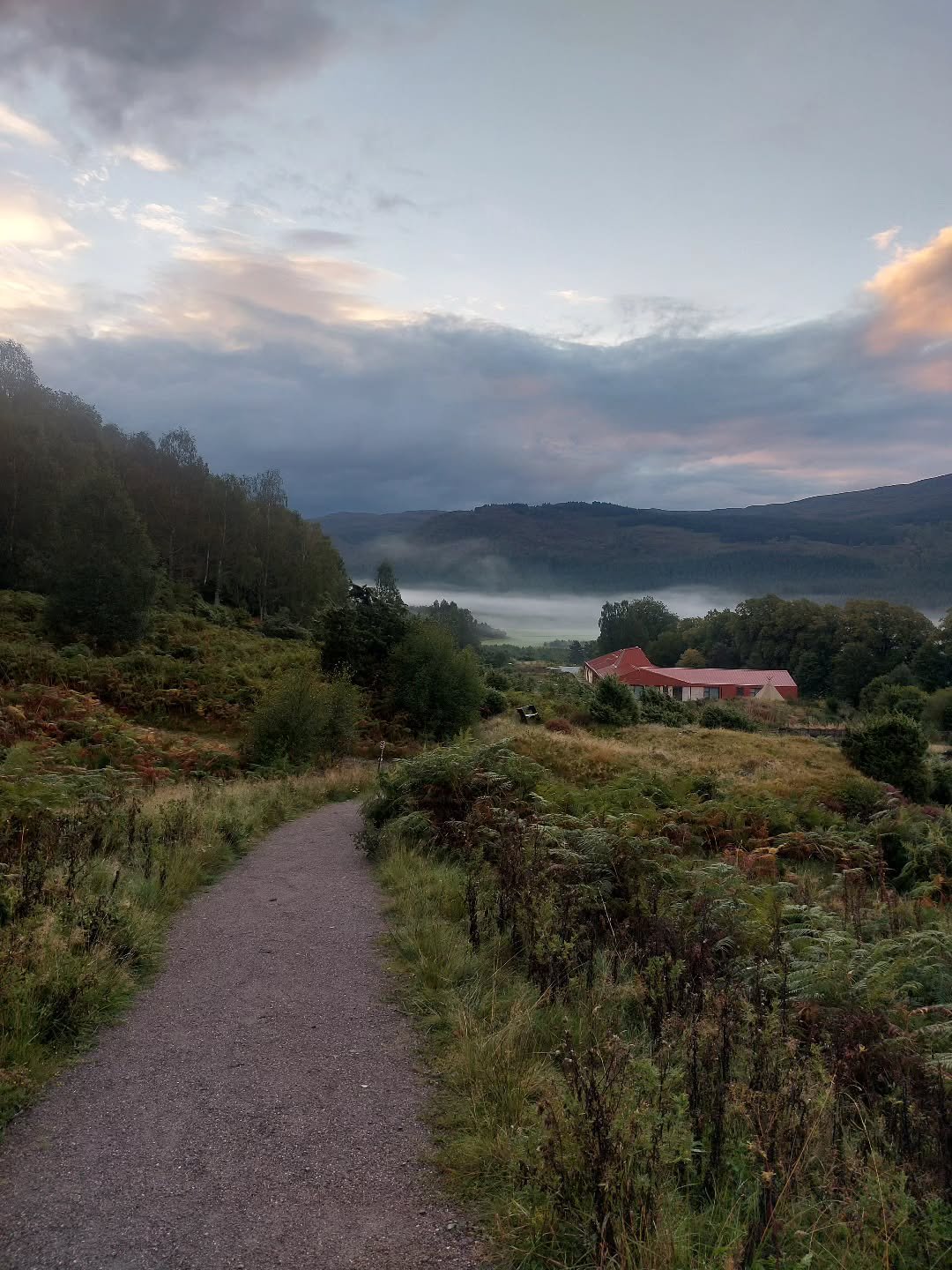 We had an amazing week volunteering @treesforlifeuk at Dundreggan a couple of weeks ago. We were working, but it felt restorative on all levels,both for us and knowing that we were  helping the team restore areas of  depleted landscape. Jenny Sturgeo