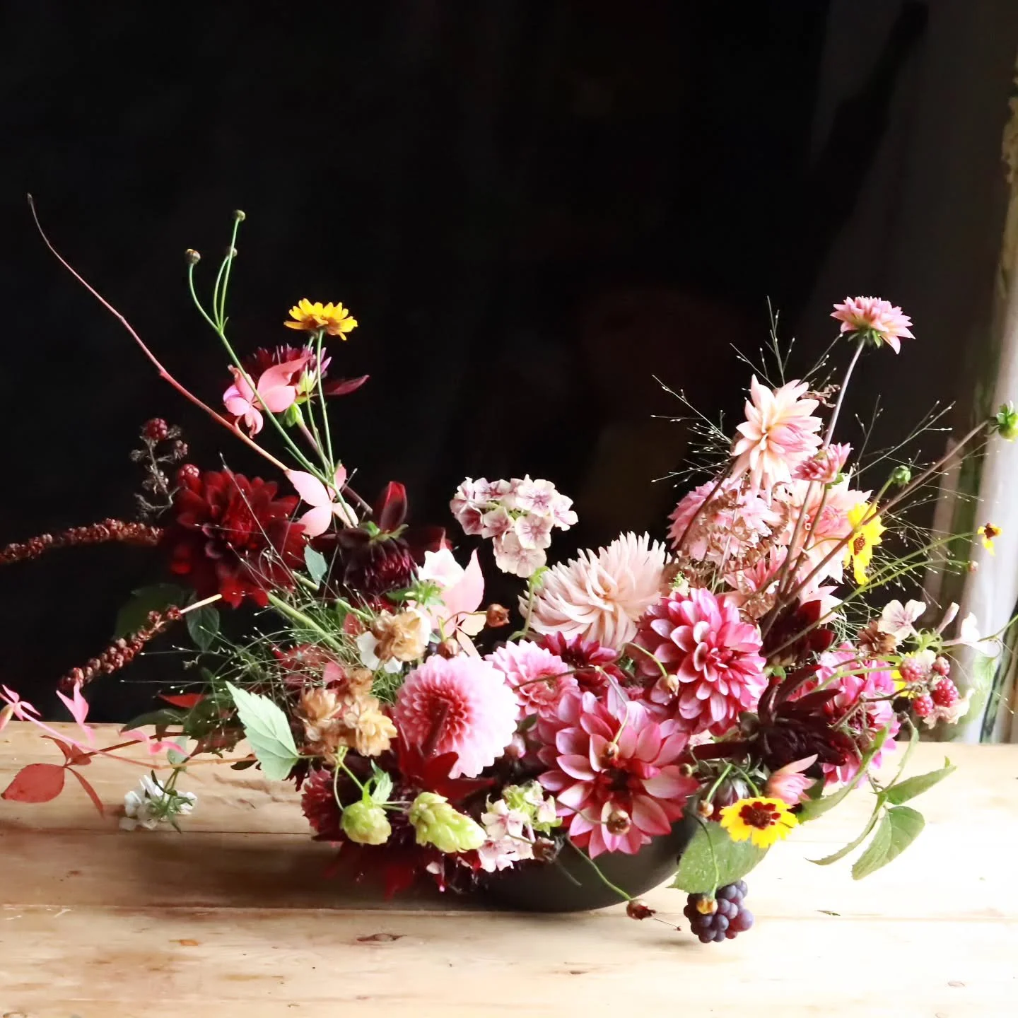 Blushing dahlias, with pops of  marmite and yellow coreopsis flowers to divide folk!

#loveitorhateit##dahliaseason#autumnalflowers