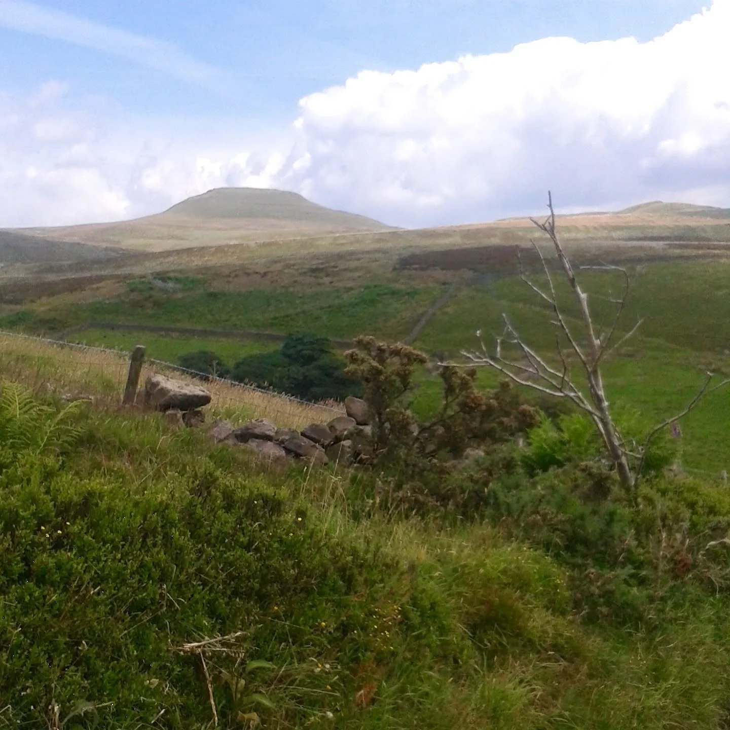 Time for a walk!

#peakdistrict#landscapeinspiration
