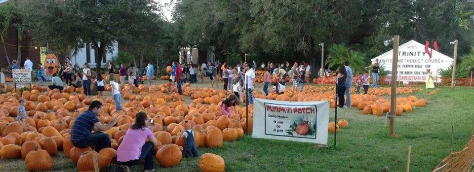 cute pumpkin patches in palm beach county