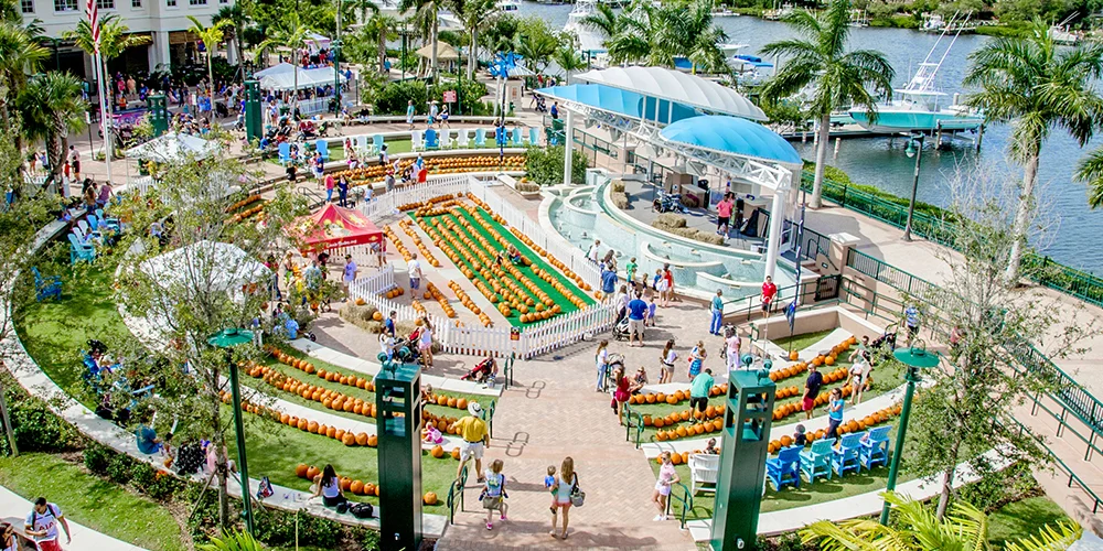 waterfront pumpkin patch family friendly jupiter