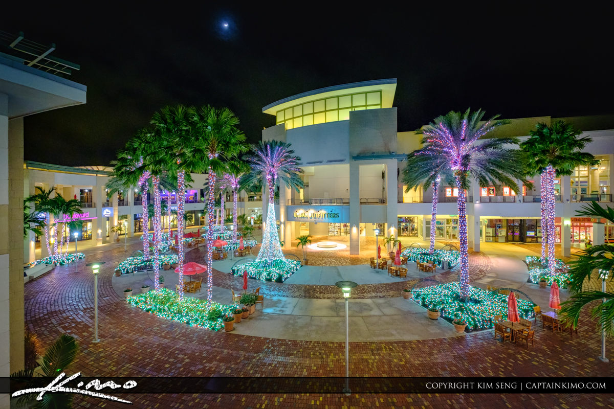 downtown at the gardens christmas lights.jpg