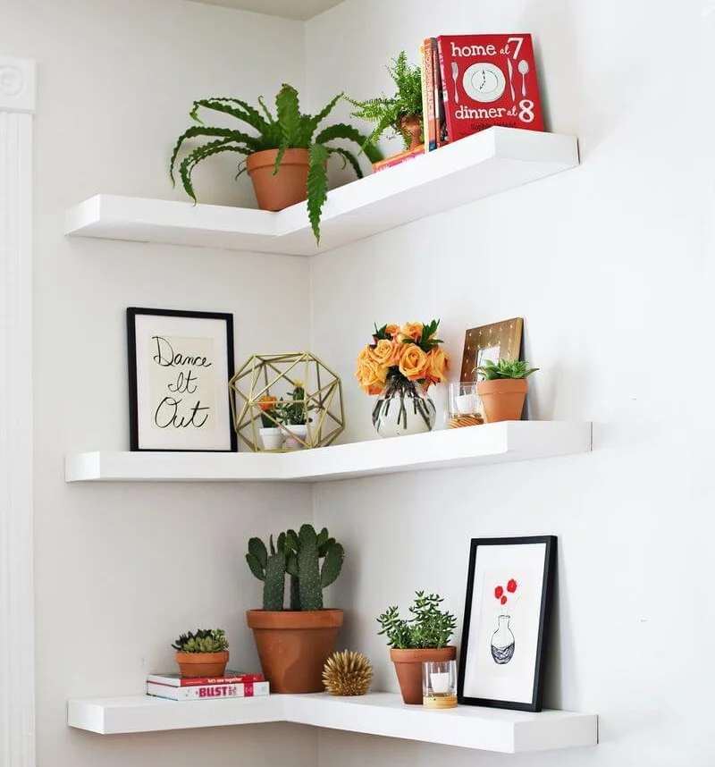 Love the plants cacti, flowers, and artwork here!