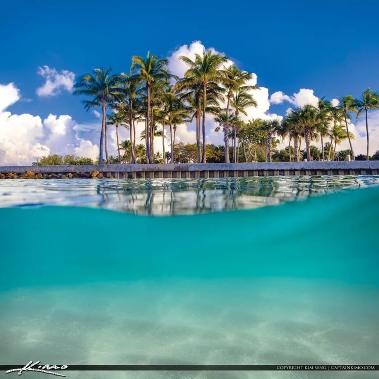 Everything You Need To Know About The Water Quality In Jupiter Fl Meyer Lucas Team At Compass Award Winning Realtors Real Estate In Jupiter Palm Beach