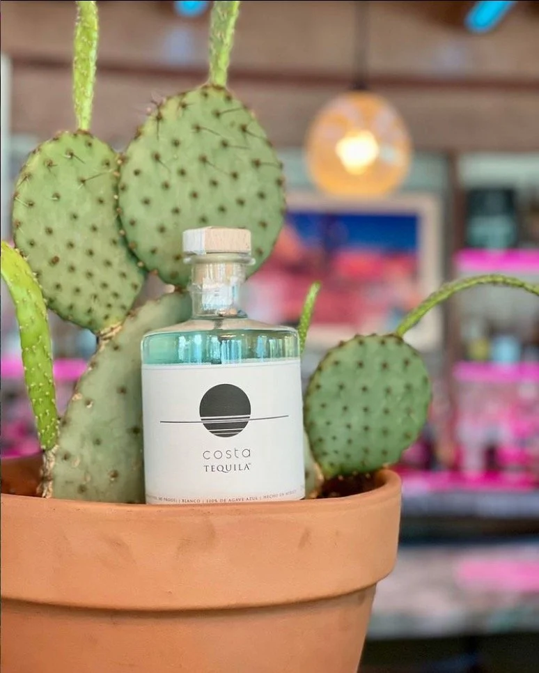 National Tequila Day in Palm Beach County — Meyer Lucas Real Estate