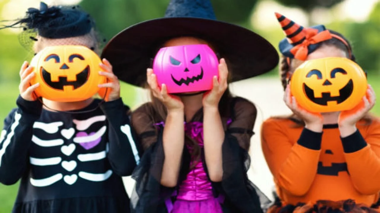 Halloween in Palm Beach County! — Meyer Lucas Real Estate Team, Jupiter