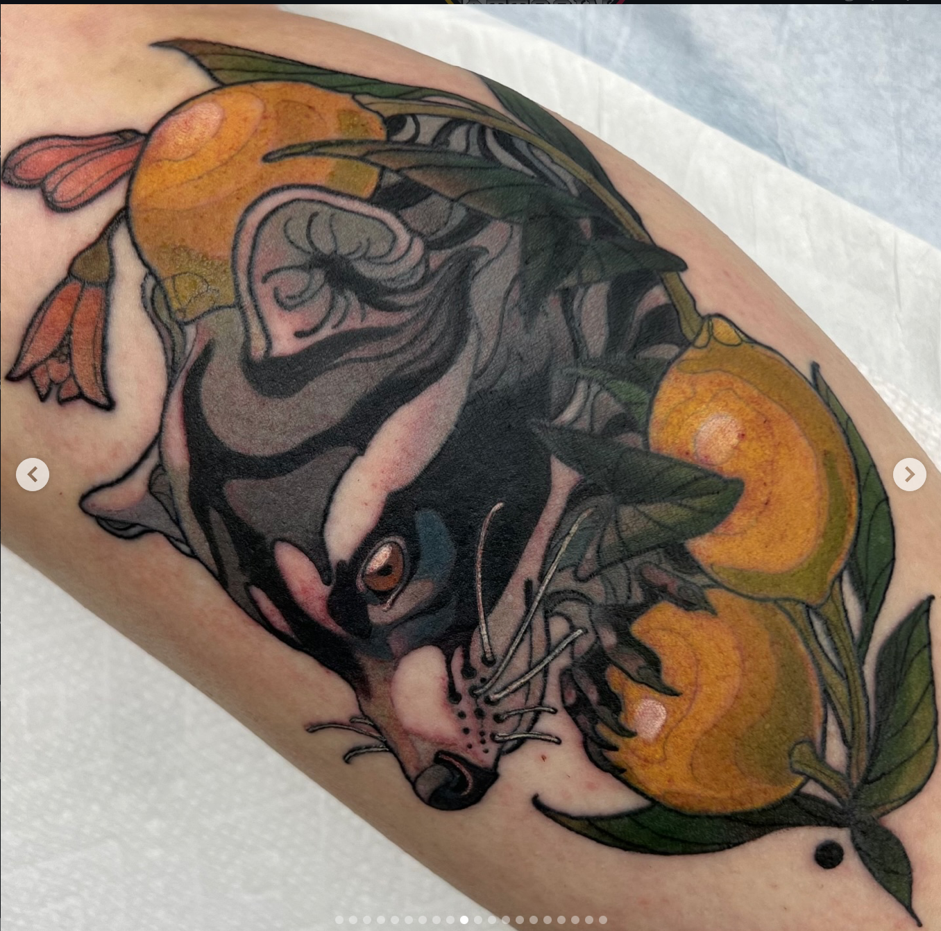 Screen Shot 2026-01-06 at 11.35.03 AM.png