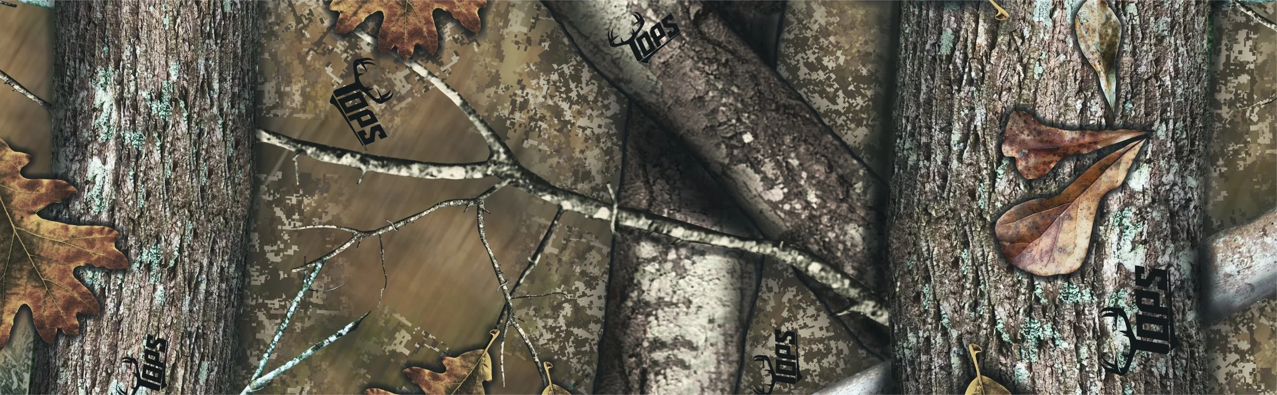 banner.jpg