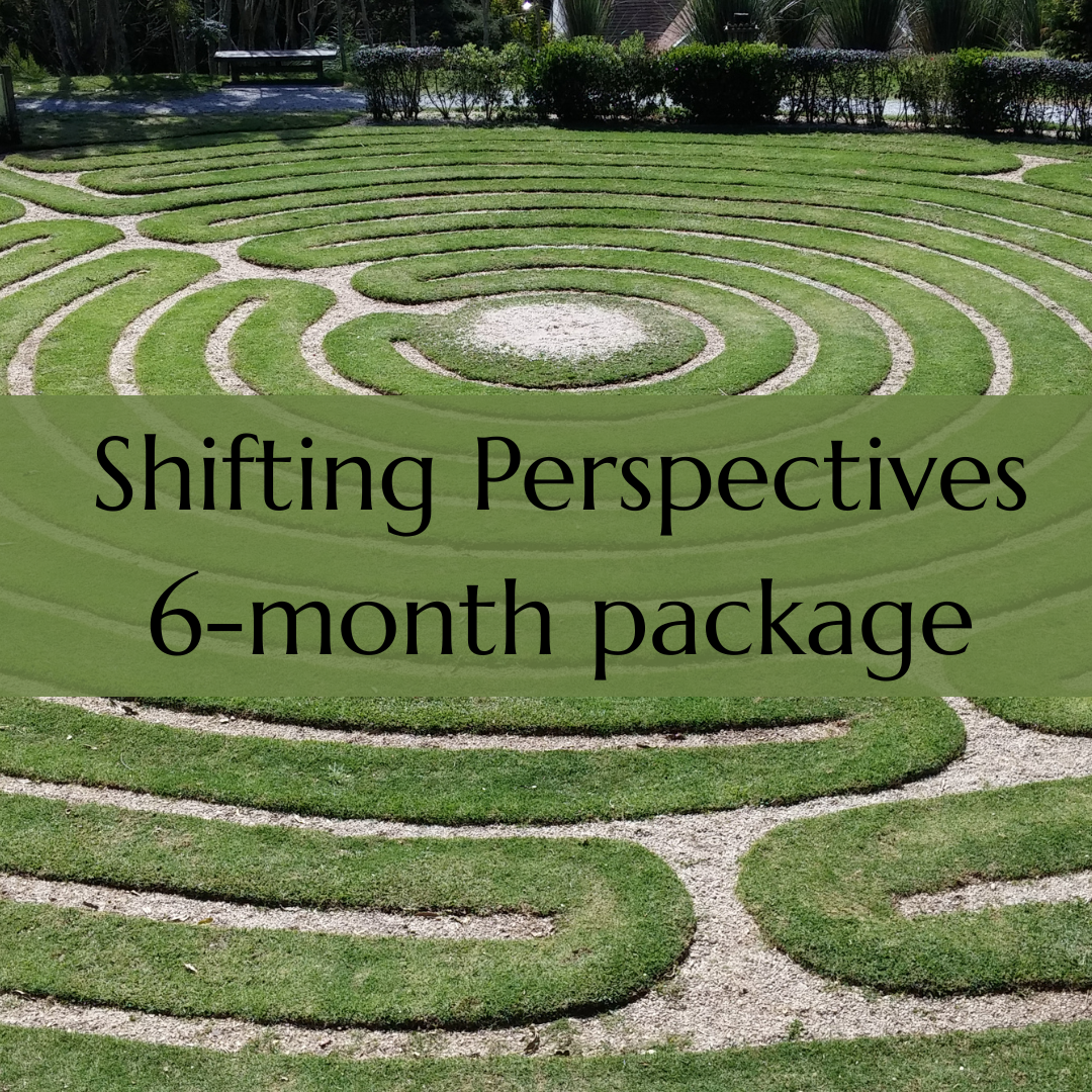 6-month Shifting Perspectives Coaching Package (1:1)