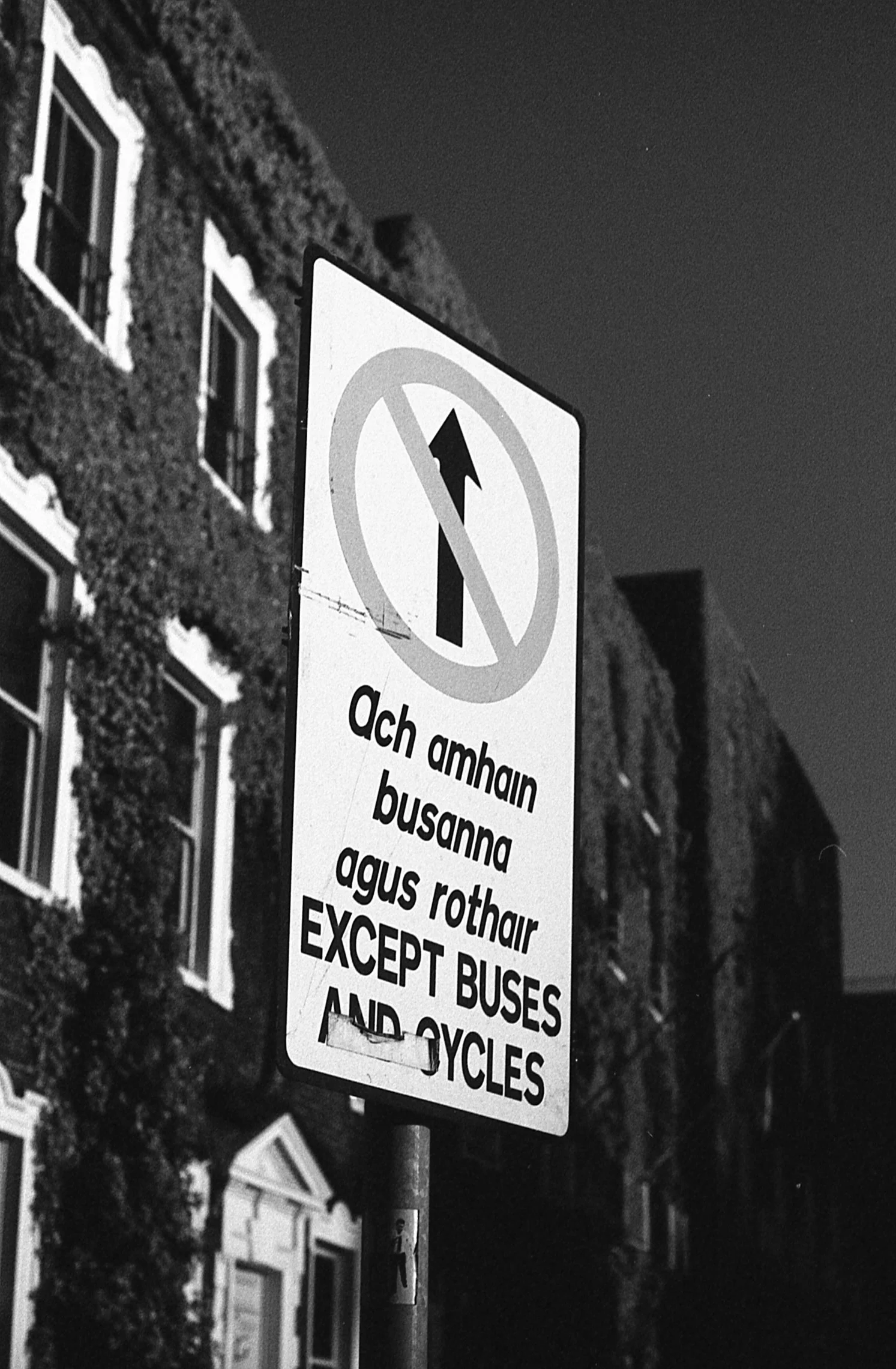Dublin, IR / Nikon F3 / RolleiRetro400S / 5.28.18