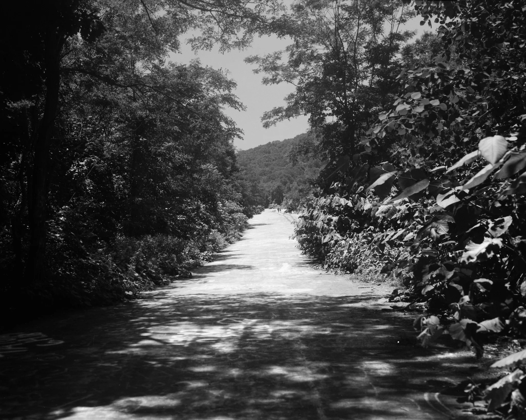 Centralia, PA / Busch Pressman 4x5 / Fomapan400 / 6.16.18