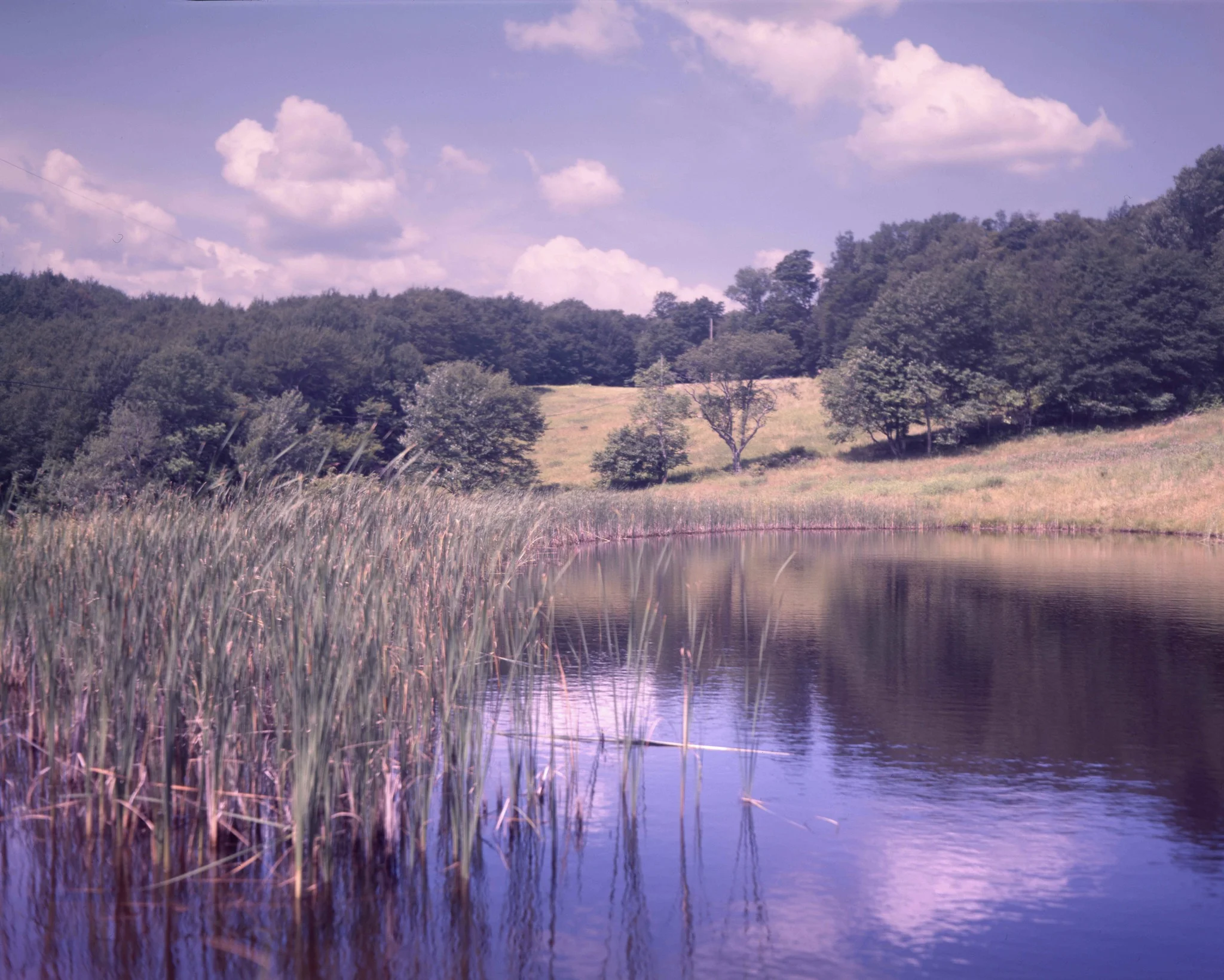 Andes, NY / Busch Pressman 4x5 / Ektachrome100 exp. 5.04 / 7.13.18