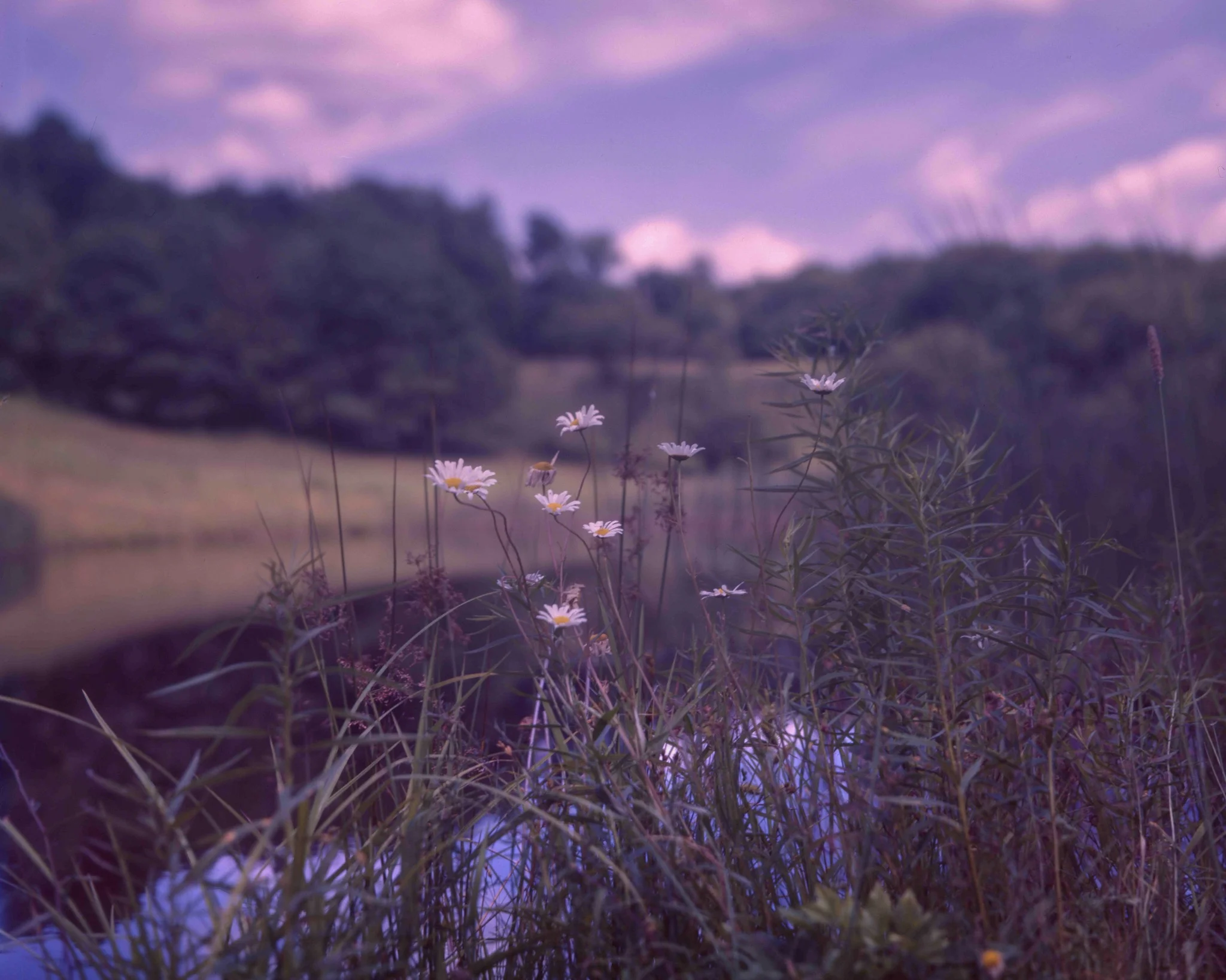 Andes, NY / Busch Pressman 4x5 / Ektachrome100 exp. 5.04 / 7.13.18