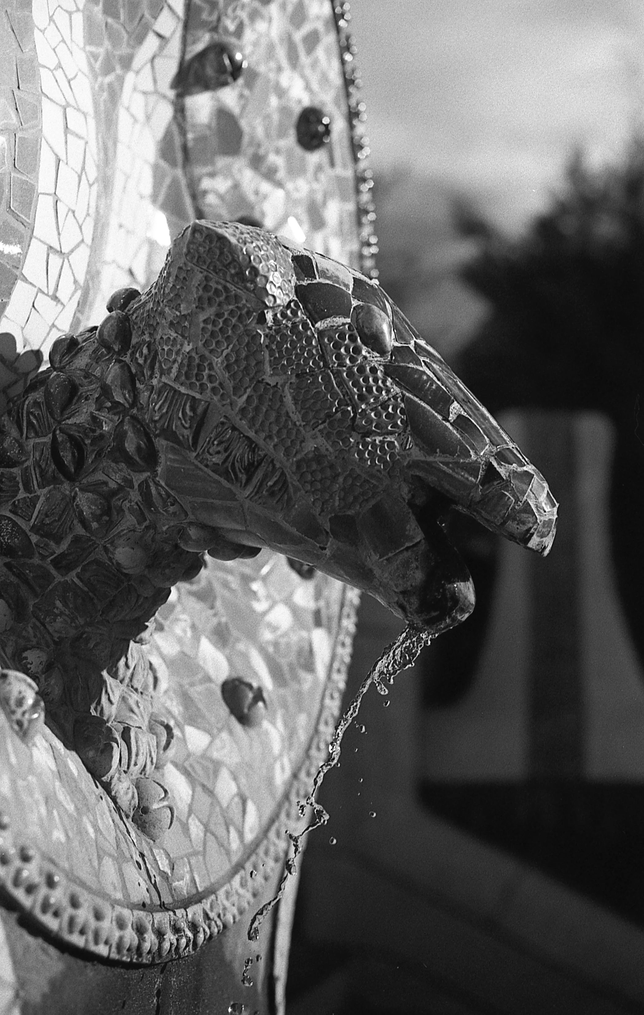 Park Güell / Nikon F3 / JCH Streetpan 400 / 3.3.18