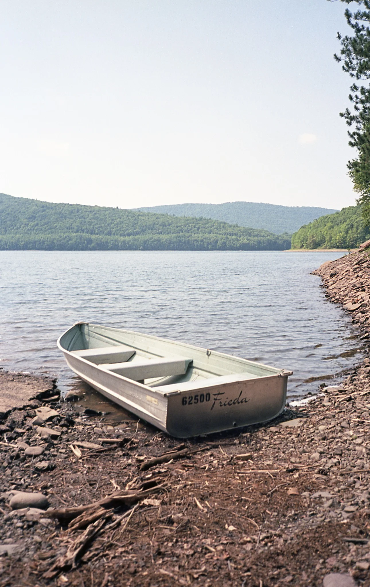 Frieda, Pepacton Reservoir, NY / Olympus Mju2 Stylus Epic / Ektar100 / 7.14.18