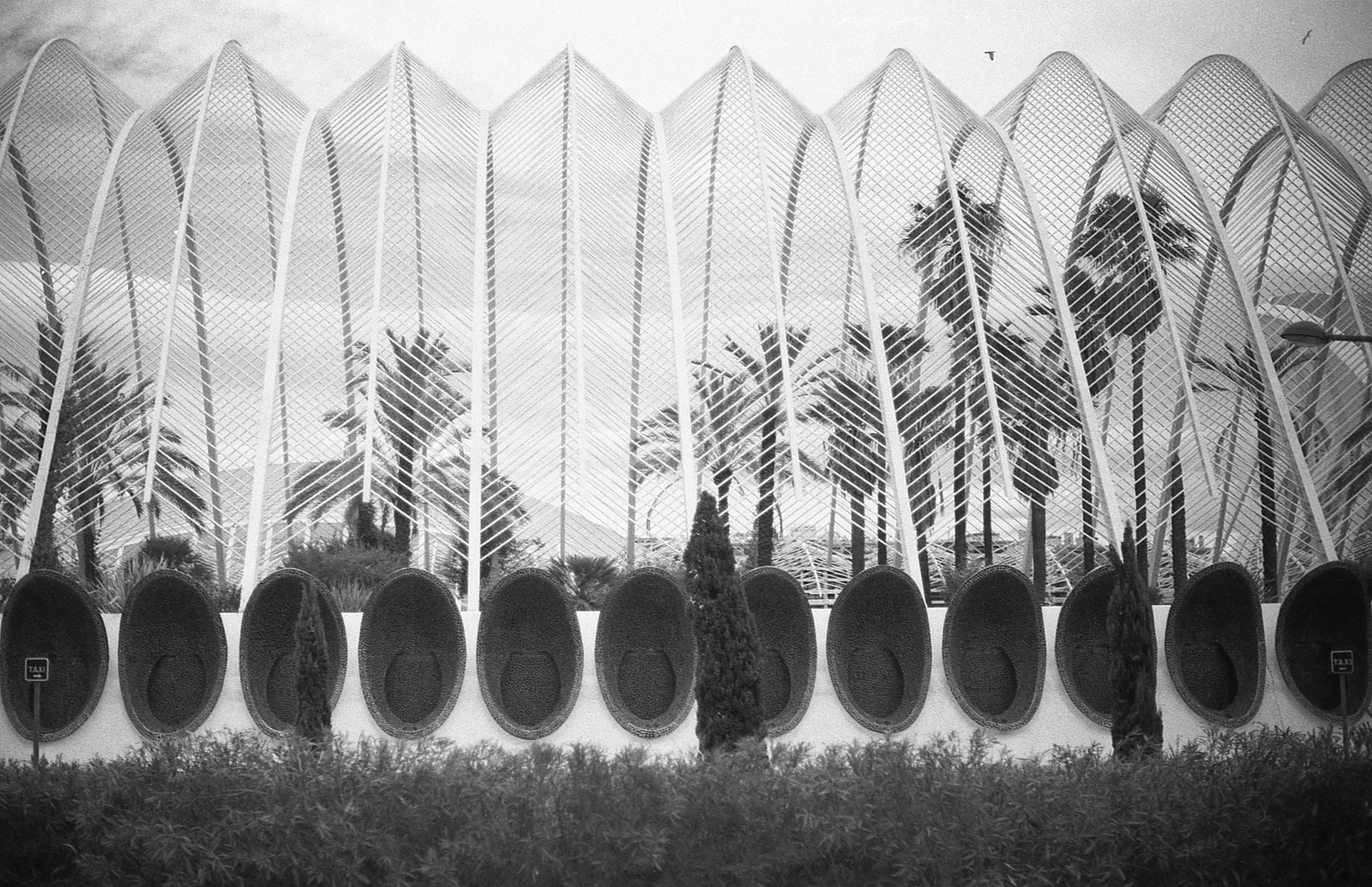 City of Arts and Sciences, L'Umbracle, Valencia, Nikon F3, Rollei Retro 400S