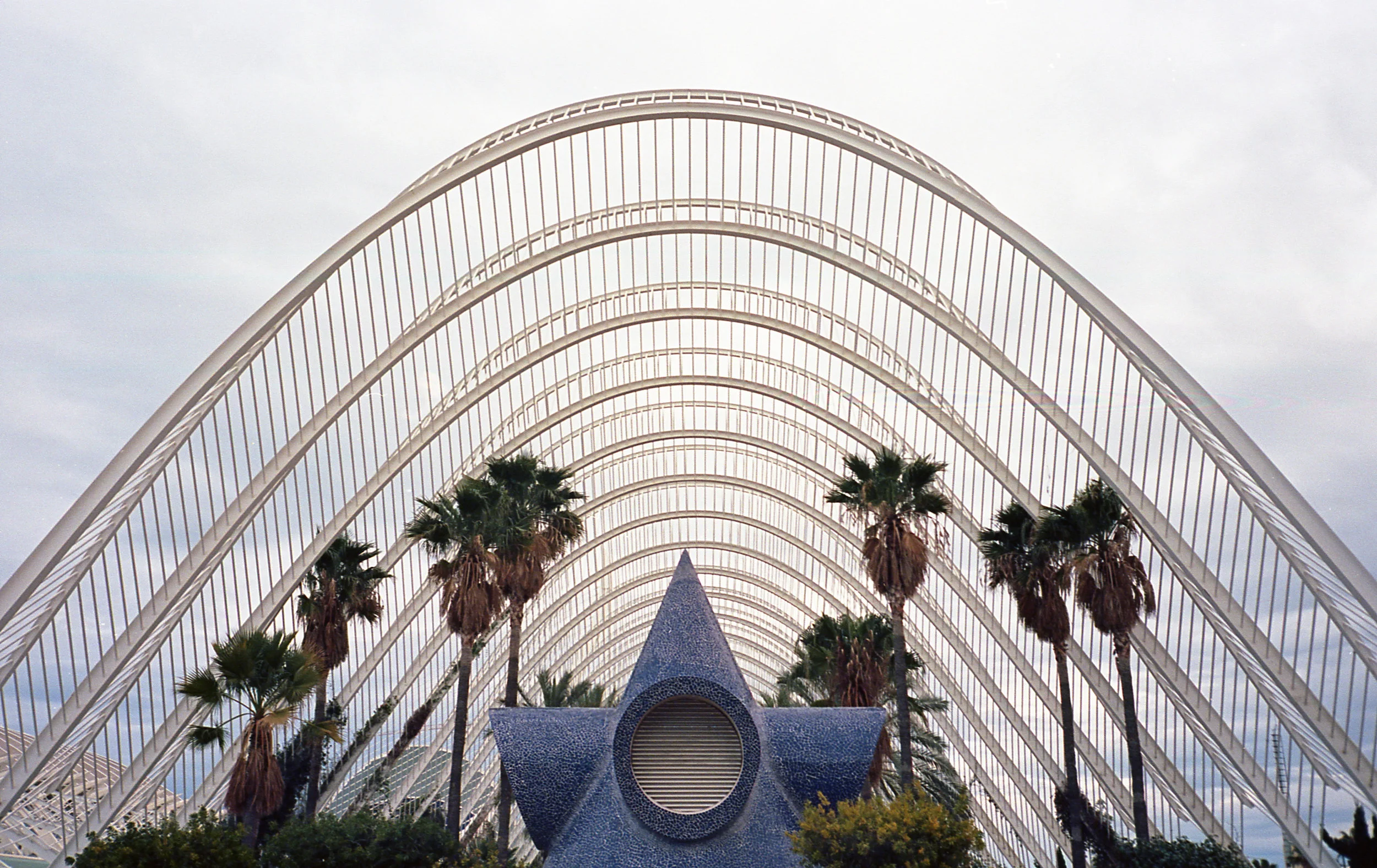 City of Arts and Sciences, L'Umbracle, Valencia, Nikon F3, Cinestill 50D